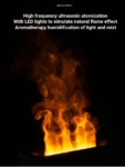 Fire Flame Humidifier